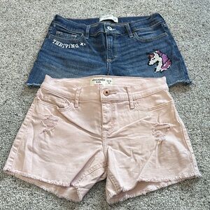 Abercrombie & Fitch Blue and Pink Kids Shorts Set